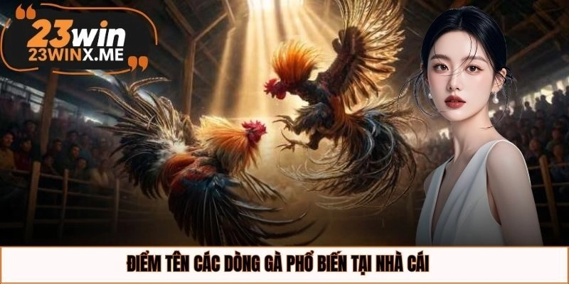 Điểm tên các dòng gà phổ biến tại nhà cái