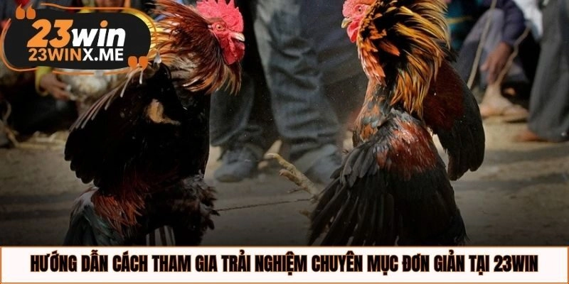 Hướng dẫn cách tham gia trải nghiệm chuyên mục đơn giản tại 23WIN