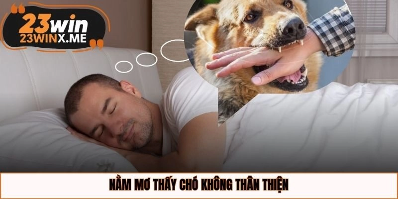 Nằm mơ thấy chó không thân thiện
