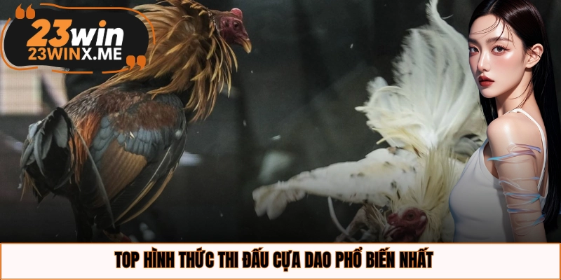 Top hình thức thi đấu cựa dao phổ biến nhất